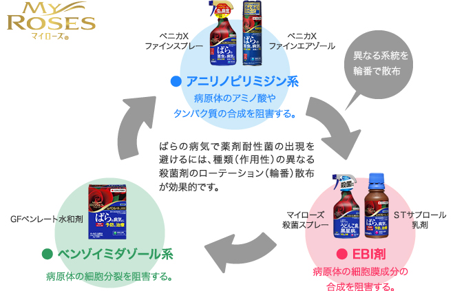 作用性の異なる殺菌剤をローテーションさせて使う