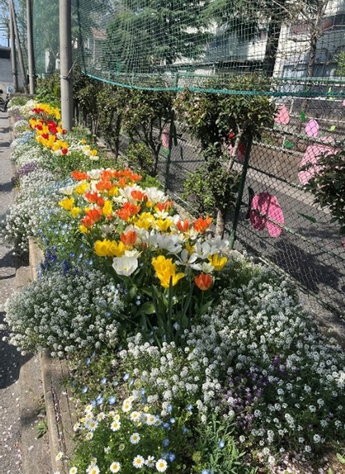 花壇端から端まで奥までぎっちりです。