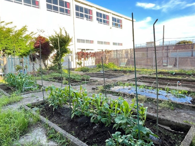 無事に育ってくれたらいいな。