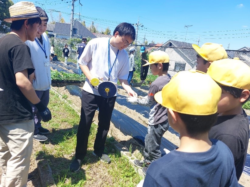大学生と小学生とで学校菜園を行っています。農学部学生たちと一生懸命植えました。