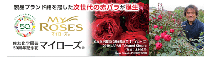 50周年記念花「マイローズ」