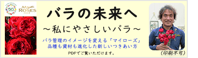 ばらの未来へpdf