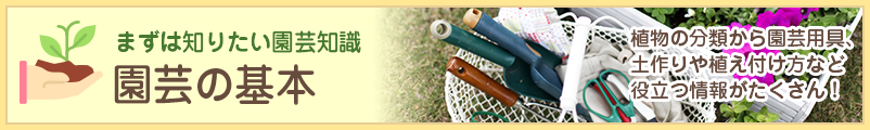 園芸の基本
