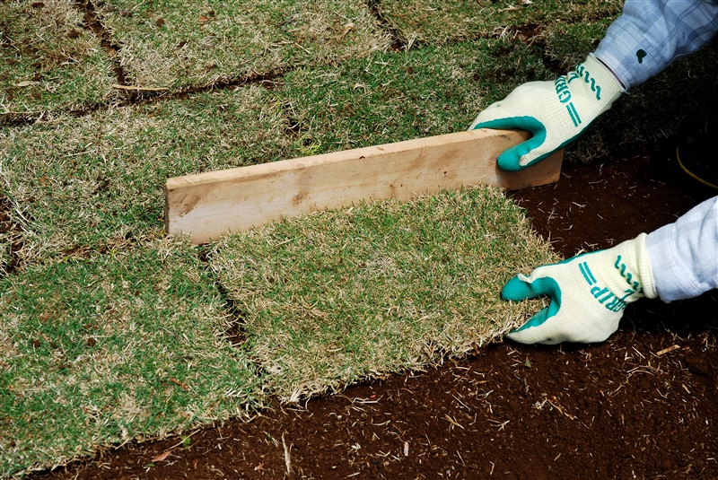 ④ 3~4cmの間隔をとり、ソッドを端から並べていく。板切れを使うと目地の幅が揃う。
