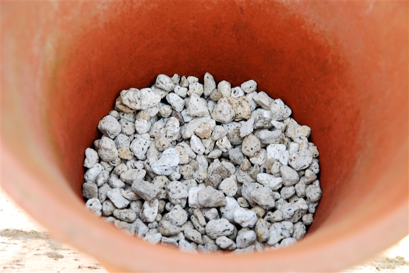 ⑤ 一回り大きな鉢に防虫網を敷き、鉢底石を2~3㎝、底が隠れる程度に入れる。