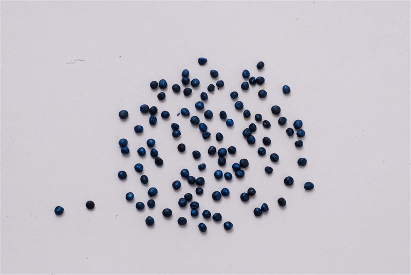 キャベツ(アブラナ科)