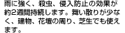 雨に強く、殺虫、侵入防止の効果が約2週間持続します。舞い散りが少なく、建物、花壇の周り、芝生でも使えます。