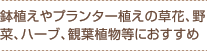 鉢植えやプランター植えの草花、野菜、ハーブ、観葉植物等におすすめ