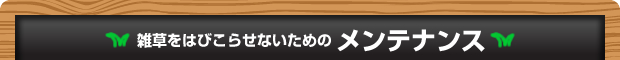 雑草をはびこらせないためのメンテナンス