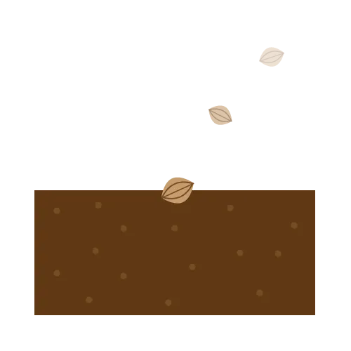 発生は種子から