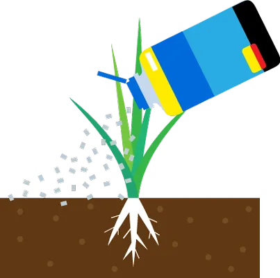 根から成分を吸収させるしくみ