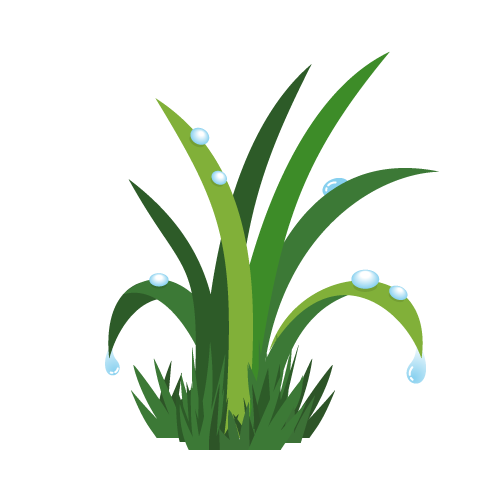 雨降り後の様子