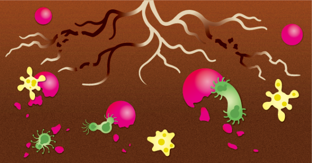 〈成分は微生物が分解〉