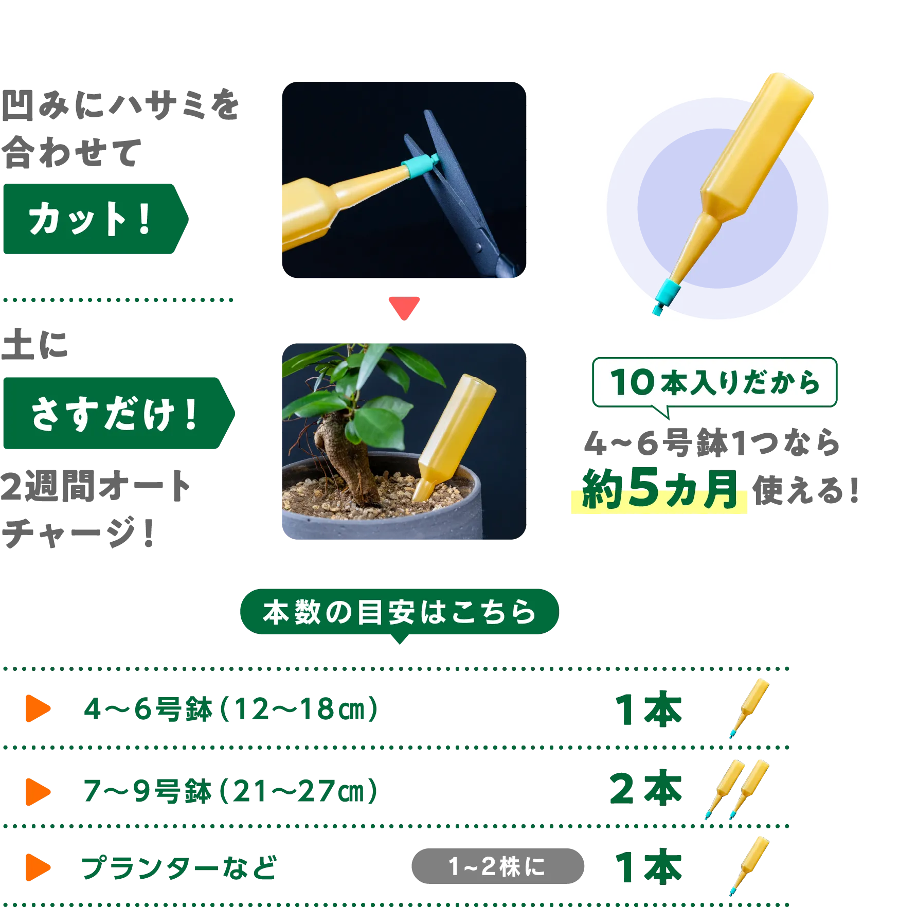 週に１回の間隔でたっぷりと与えてください。