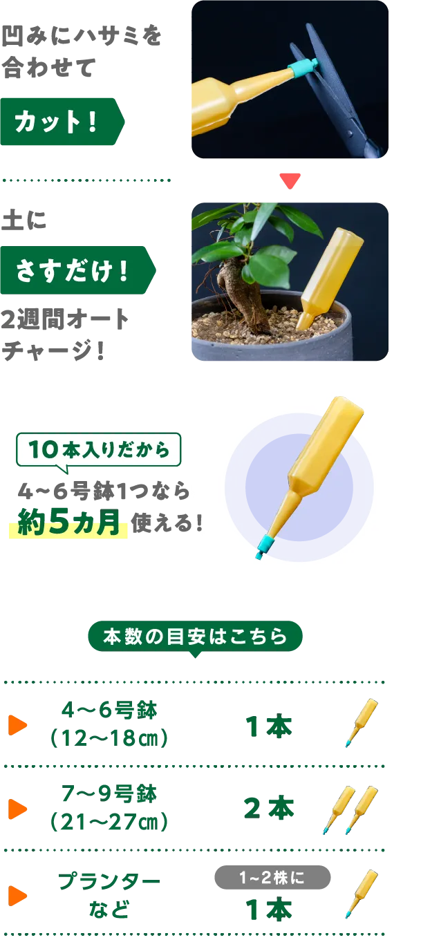 週に１回の間隔でたっぷりと与えてください。