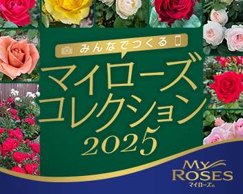 みんなでつくるマイローズコレクション2025