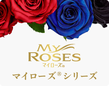 マイローズシリーズ